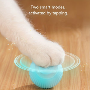 Smart Interactive Rolling Cat Ball