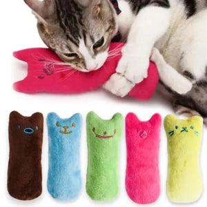 Plush Catnip Toy for Teeth Grinding and Play