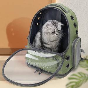 Transparent Outdoor Cat Carrier Backpack