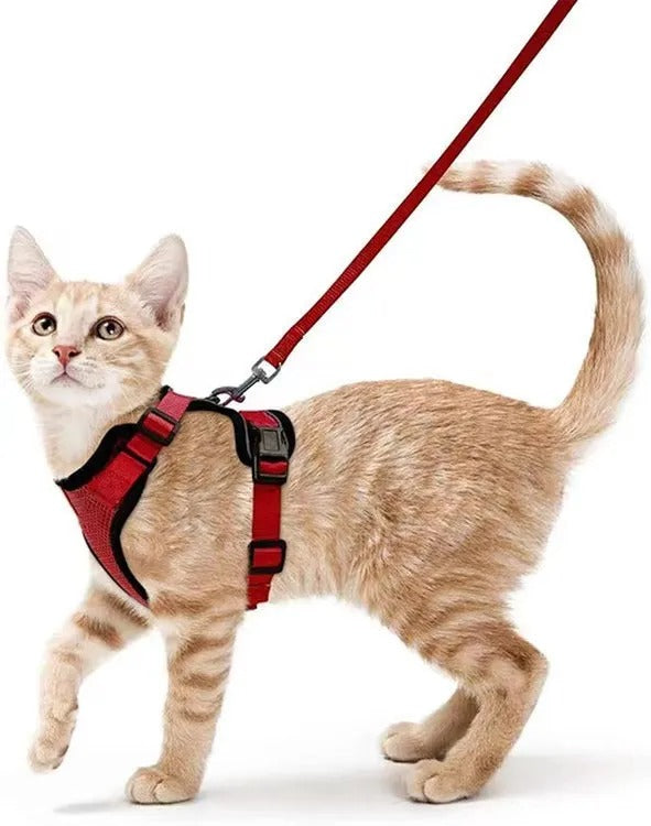 Cat Walking Harness & Leash – Secure and Comfortable Outdoor Gear