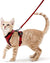 Cat Walking Harness & Leash – Secure and Comfortable Outdoor Gear