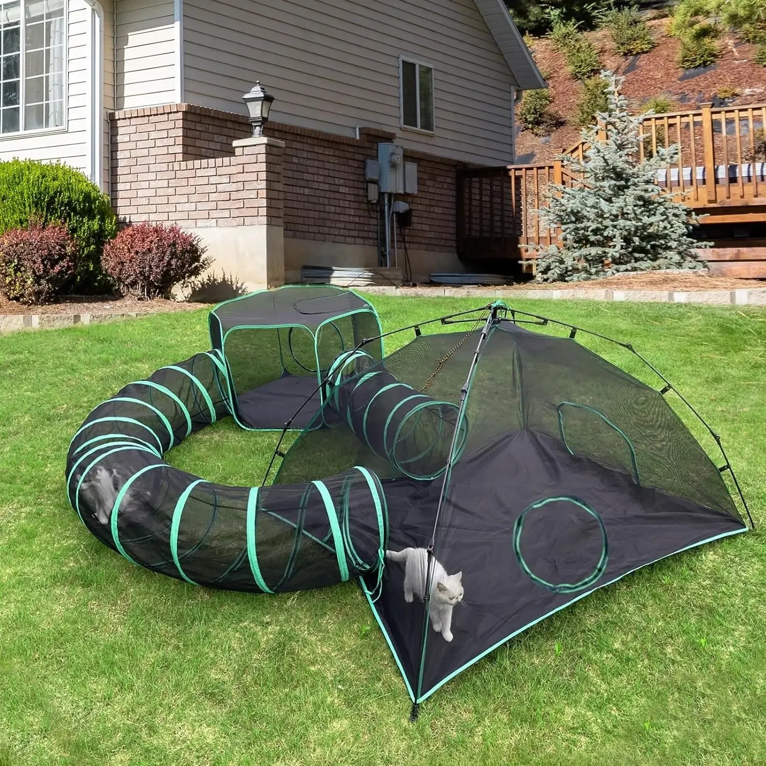 6-in-1 Outdoor Cat Play Tent & Tunnel Set – Portable Adventure Playground